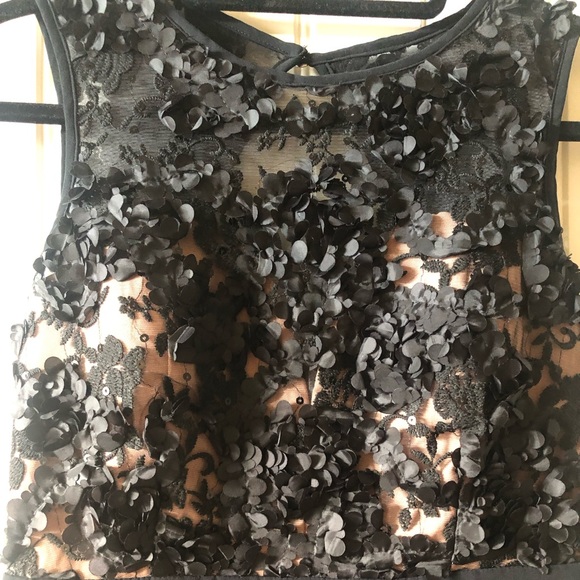 Little Mistress Black Beauty - Picture 2 of 5